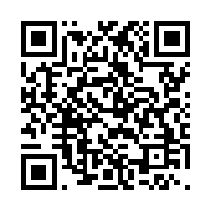 下半辈子的荣华富贵都搭在你身上了二维码生成