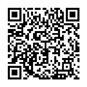 下回万一我们要去劫掠真人类帝国的皇宫或者帝皇的古墓二维码生成