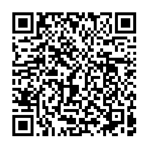 下土世界本身自然演化速度都会减缓――原本的演化速度从一夜逝月二维码生成
