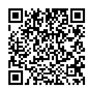 下场也是可想而知的……那场景实在是太血腥了一点二维码生成