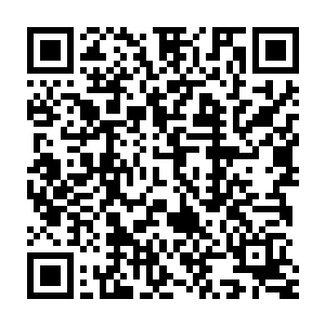 下意识的带着一丝怜悯和幸灾乐祸地向着场中央的那个少年望了过去二维码生成