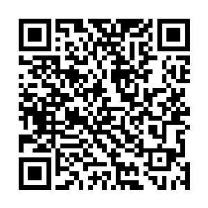 下方可是至少有数万个天机派的高手被龙傲天这一掌毙命二维码生成