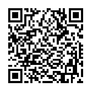 下方的龙傲天此时整个人的身体也猛地晃动了一下二维码生成