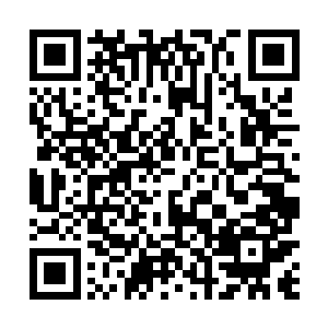 下面众人更期待了――这意思就是说基本输不了了对吗二维码生成