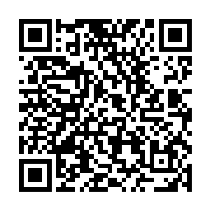 下面屋基边的岩石中间荡漾着两条挂着马达的小舢板二维码生成