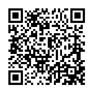 下面有不少的外门弟子在处理大长老一脉山上的事务二维码生成