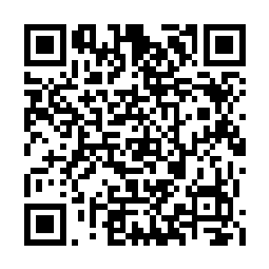 下面的前辈们都闹起来了……您是不是去看看呢二维码生成