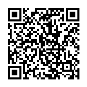 下面的弟子很快就会感受到烛阴释放出去的灵魂力量二维码生成