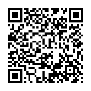 下面的那些重臣除了争权夺利就是贪污受贿官官相卫二维码生成
