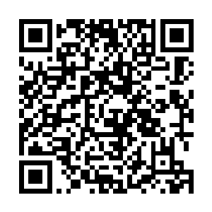 不……就算是妲己或者平清盛……也没有那种程度的力量二维码生成