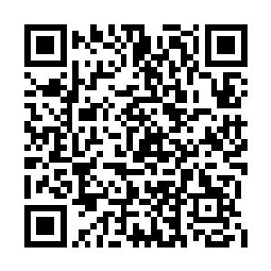不一会儿仆从们就送来了热水毛巾服侍我们洗漱二维码生成