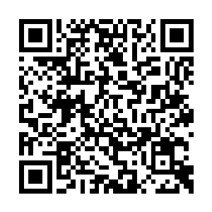 不一会儿我便听到了从地下传来的朗朗的读书声二维码生成