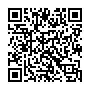 不一会的功夫就把那几个试图趁机逃走的学生给追了回来二维码生成