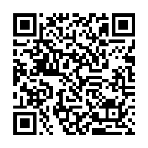 不一样的是花久久……她因为帝寒的这句话红了脸颊二维码生成