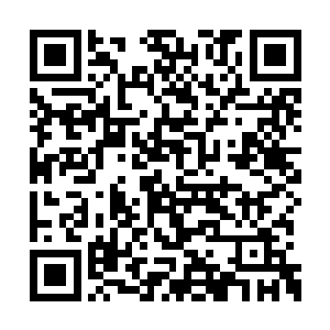 不下心被迅速飞跃过来的暗卫首领一剑刺中手臂二维码生成