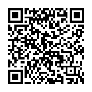 不久之后这些年轻人将会掀起一场颠覆整个西凉二维码生成