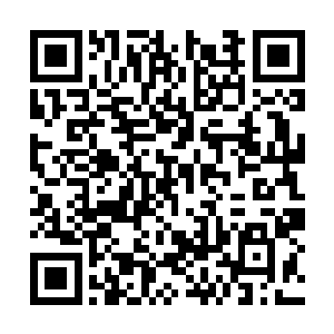 不久前又得到驻扎着大量边军的东界与北界的支持二维码生成