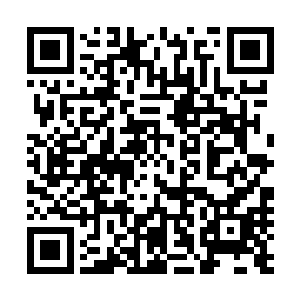 不仅不差……反而比二年级学生做新生时有过之而无不及啊二维码生成