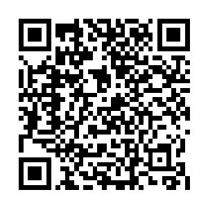 不仅仅是因为墨景祈竟然将主意打到了阿璃身上二维码生成
