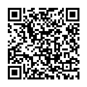 不仅仅是朝着出手的那位三十六洞天福地的尊者而去二维码生成