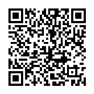 不仅伊亚斯总督等一些污秽鸟之高层得以顺利逃离二维码生成