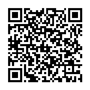 不仅利用血脉秘法将自己的气息完全改造成了对方二维码生成