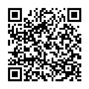 不仅向民众们揭示了黑心肉食加工厂的恶心和危害性二维码生成
