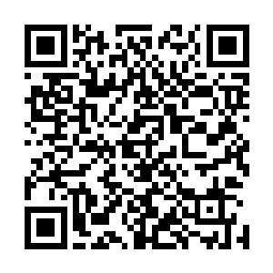 不仅因为这个自娱自乐的家庭聚会第一次登上了全美大舞台二维码生成