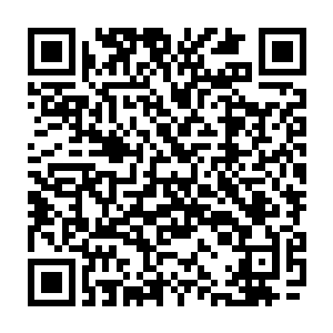 不仅如此黑暗教皇这次还准备了很多其他的普通的材料用来将一些人变成巫妖的二维码生成