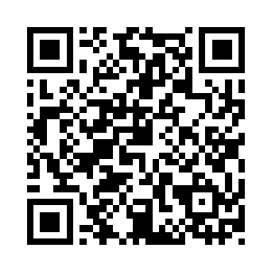 不仅我因为二十四颗定海神珠发生了改变二维码生成