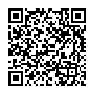 不仅才刚刚从蓝buff转战过来的几人立即转战大龙二维码生成