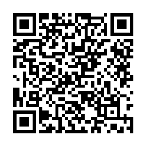 不仅担负着调查明白鳄蛟岛上究竟发生了什么事情二维码生成