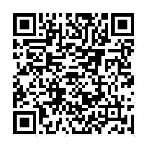不仅炼狱世界出现的规则存在数目超乎了他的预料二维码生成