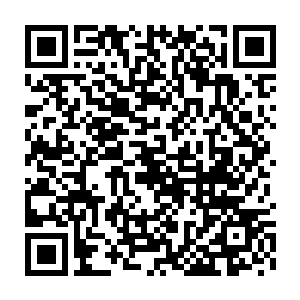 不仅能成功的救出天琴家族被掠走的二小姐琴沁保住天琴家族的颜面二维码生成