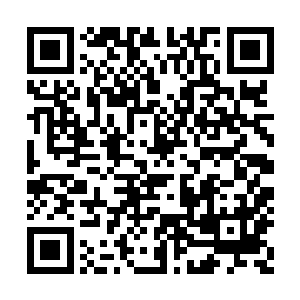 不会就是让我来见识一下你大衍天机诀的造诣吧二维码生成