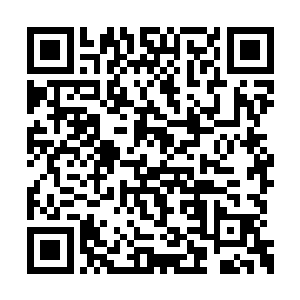 不会是直接派了一个紫府期的分身来追杀老子吧二维码生成