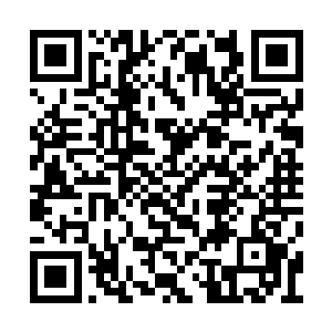 不会是这么长的时间自己没开车忘了怎么开了吧二维码生成