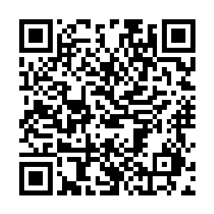 不会是这些村民捞到了那条大怪鱼当水怪然后回去了吧二维码生成