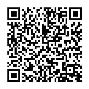 不会有哪个哥哥会对自己妹妹的表达善意的男人露出那样充满威胁的表情二维码生成