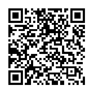 不会真的以为当了大少爷的大丫鬟就能飞上枝头变凤凰了吧二维码生成