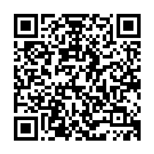 不但对面的贾克斯在做完三相以后出到了一个+25护甲的忍者足具二维码生成