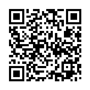 不做声地跟在陆湛的身后回了兰藻院二维码生成