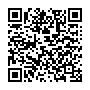 不停地在充满着冰碴的寒水当中不停地出掌磨练着二维码生成