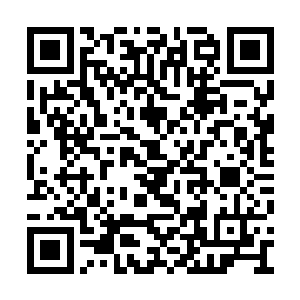 不停地用各种各样假设的可能来安慰和麻痹自己二维码生成