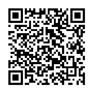 不停扣动松开扳机做长短点射的巴克根本不予理会二维码生成