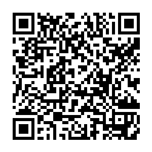 不停的将一块块魔核以及神品水晶给炼化成最精纯的能量注入剑尘的身体中二维码生成