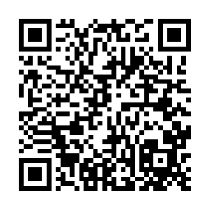 不像是最开始的时候是因为苏凡的任命这些人才听他的二维码生成