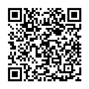 不像是陈小练干的……他和他那两个手下的技能不是这种类型的二维码生成