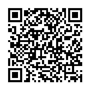 不像白狼马那货恨不得自己现在就加入她们的游戏了二维码生成