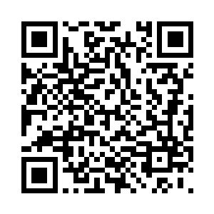 不允许他有任何的加工和主观的情感二维码生成